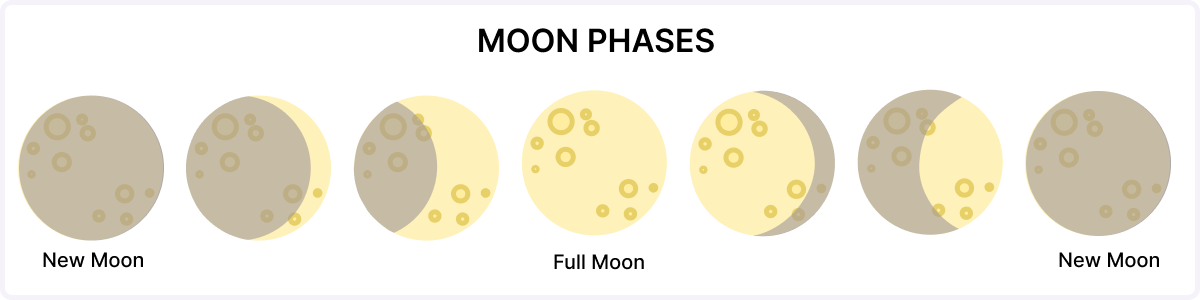 Moon Phases and light tackle fishing
