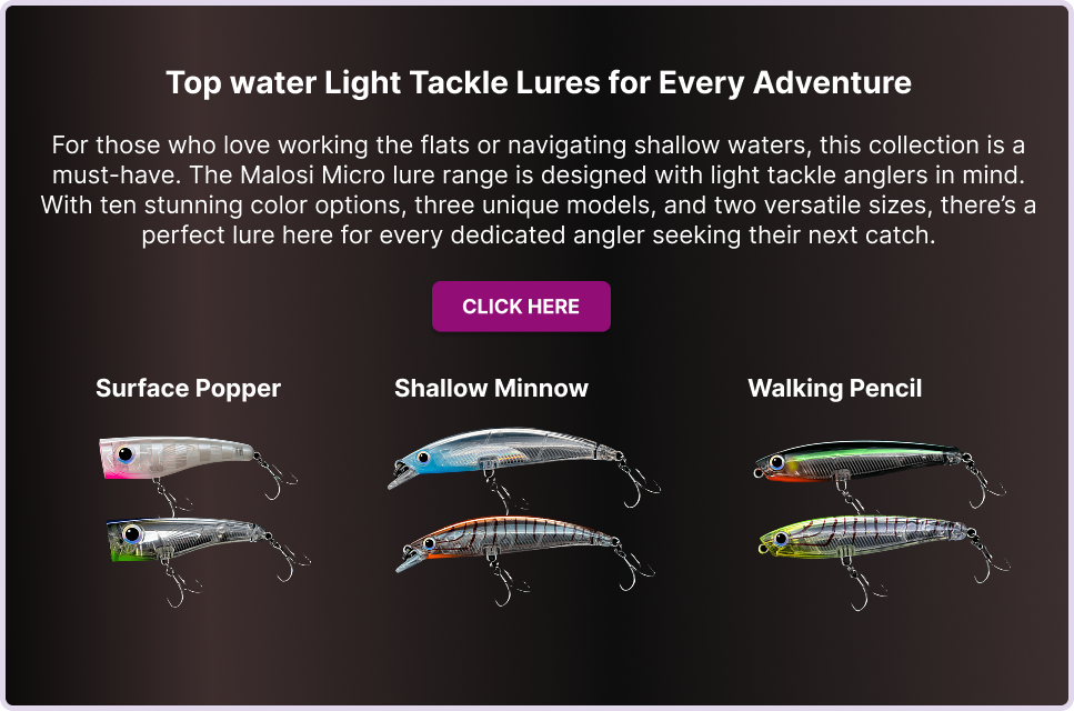 Top water lures Malosi Micro lures