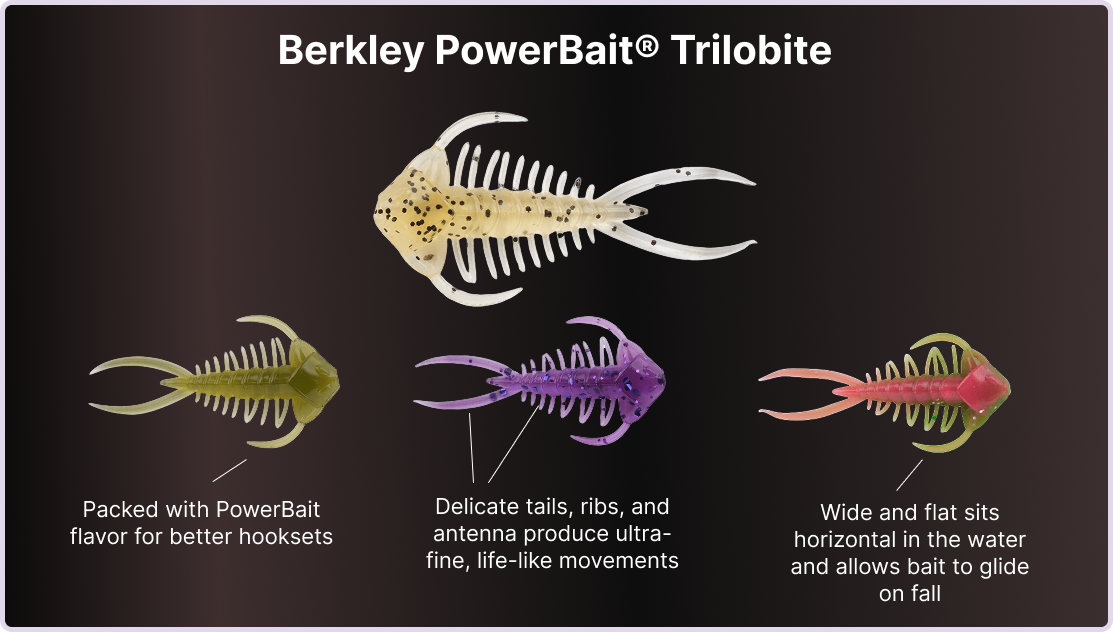 Berkley PowerBait Trilobite perfect for ultralight fishing