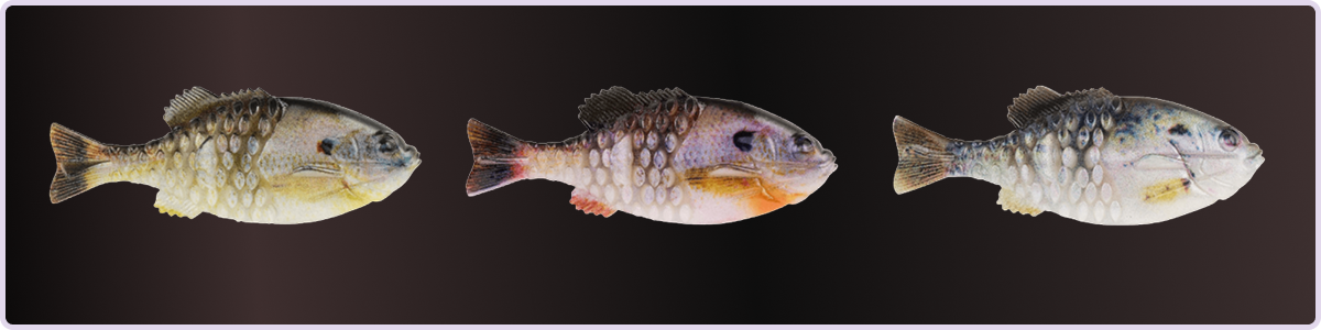 Berkley PowerBait® Gilly perfect for largemouth bass