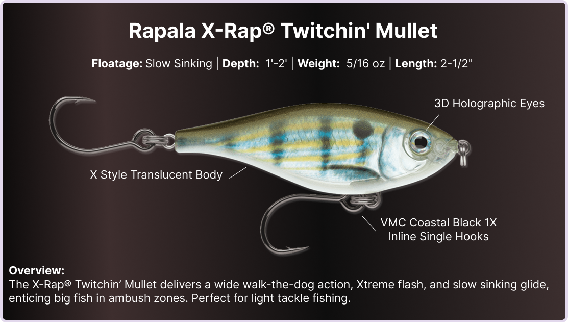Rapala X-Rap Twitchin' Mullet perfect for light tackle fishing