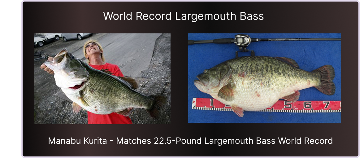 Manabu Kurita reeled in a World Record for a Largemouth bass