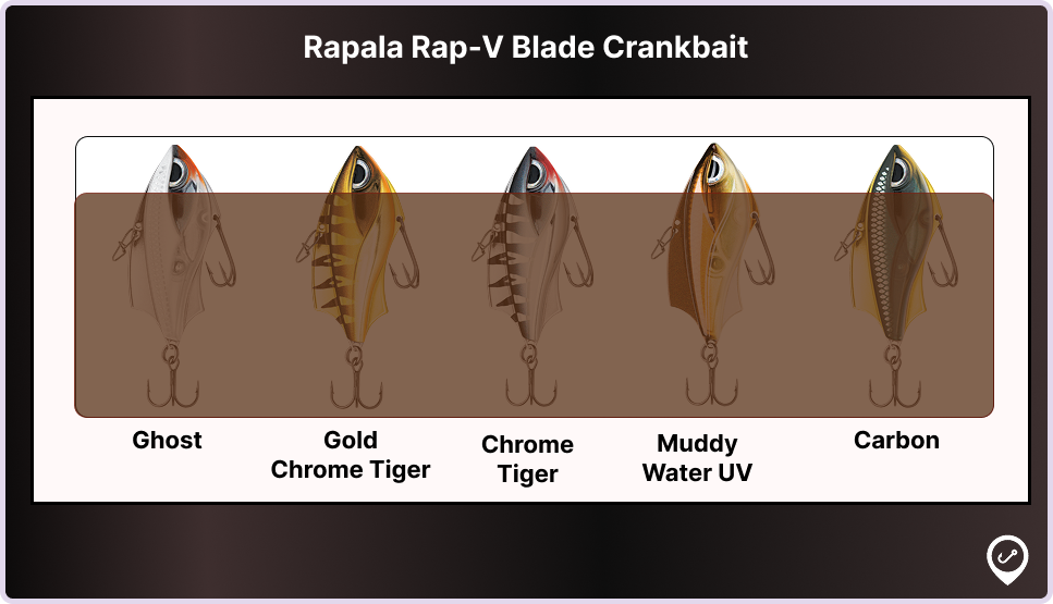 Rapala Rap-V Blade Crankbait perfect in low underwater visibility.