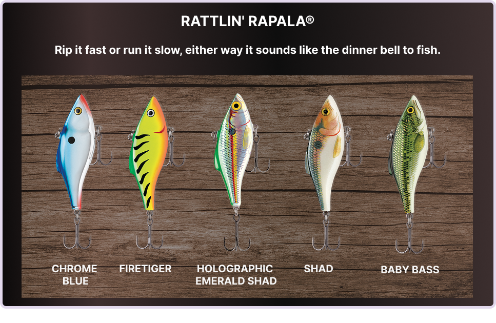 RATTLIN-RAPALA-Best-Ultralight-Lure-For-Beginners