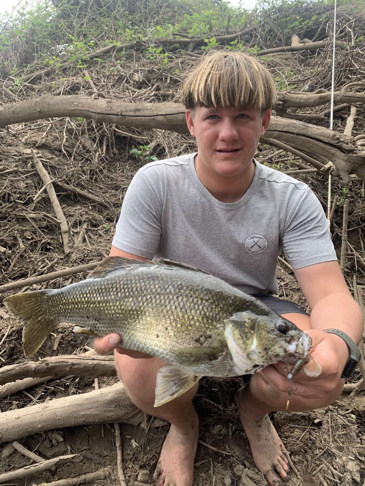 Australian Bass caught in the Tuross River