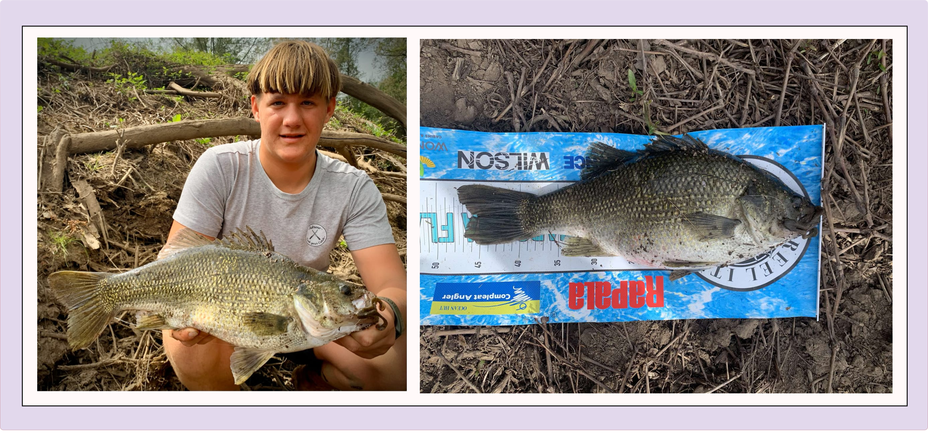 Max van Zyl catches an Australian Bass in the Tuross river