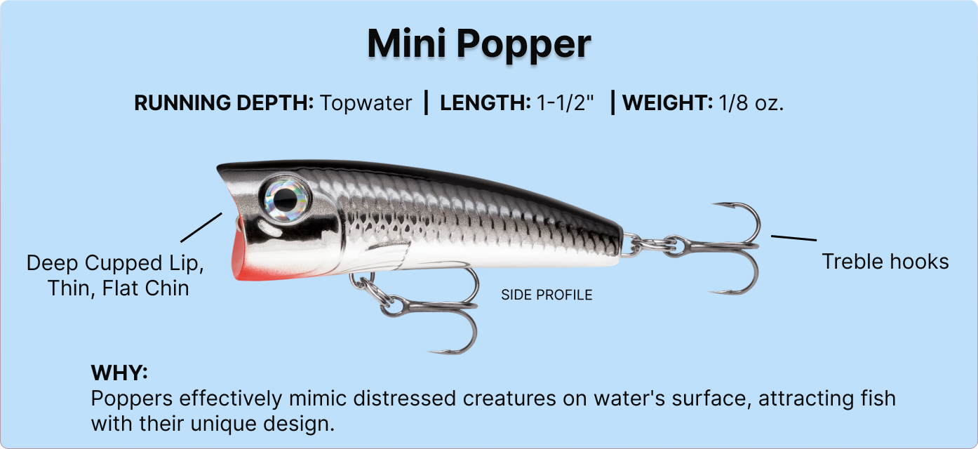 Mini Poppers the go to lure for ultralight fishing