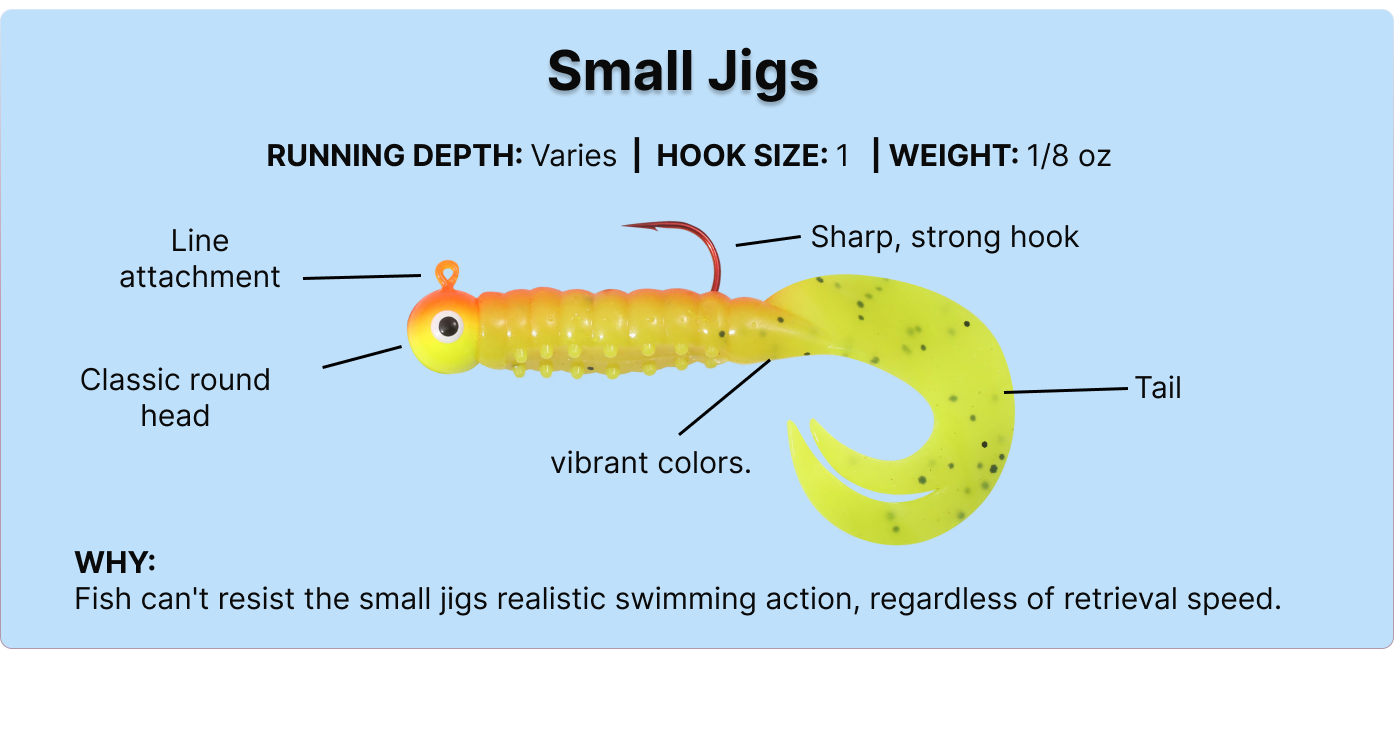 Small jigs proven top lure for ultralight fishing