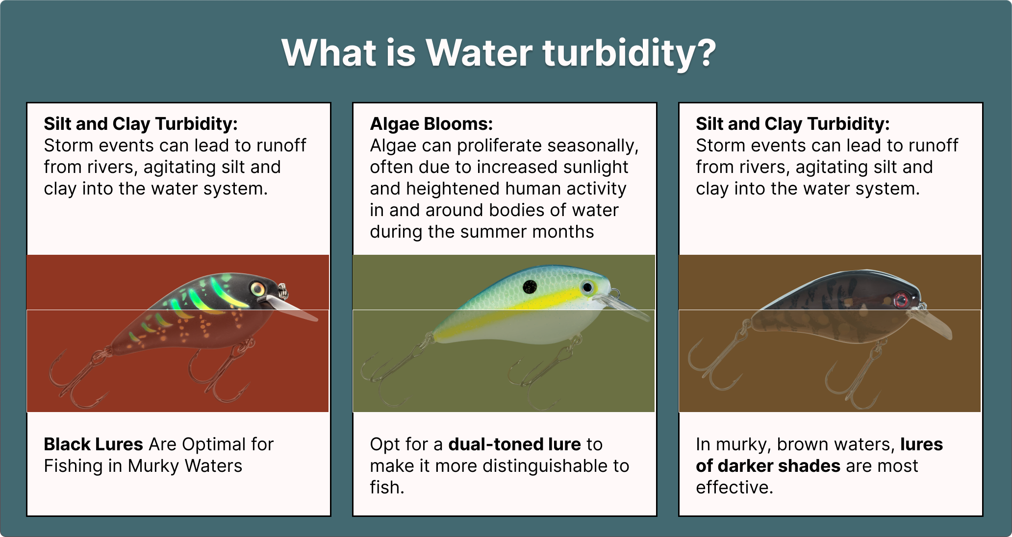 What is Water turbidity?