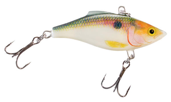 Shad Rapala Rattlin Freshwater Lure